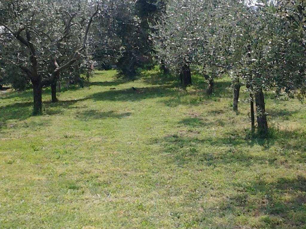Agriturismo Corte Galvani نيغرار المظهر الخارجي الصورة